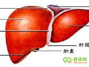 闭锁肺综合征